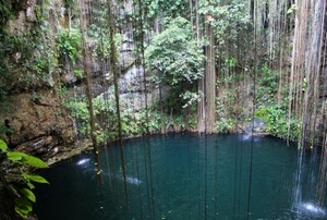 acqua, lago, liane, rocce, verde, natura, vegetazione, alberi, cascata, foglie, roccia, piante