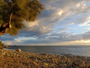 mare, albero, nuvole, sassi, spiaggia, cielo, tramonto, panorama