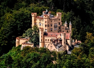 castello, torri, merli, alberi, bosco, verde, finestre, rosa