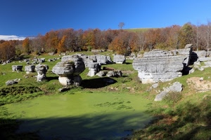 alberi, verde, cielo, rocce, stagno, ruderi, prato, paesaggio, erba, rovine, bosco