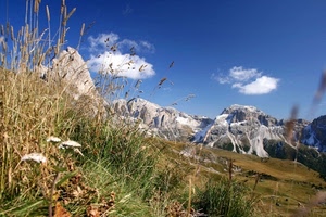 nuvole, erba, montagne, prati, cielo, montagna, panorama, neve, fiori