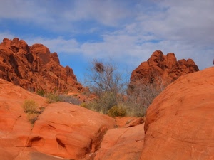rocce, nuvole, cielo, deserto, rosso, montagna, cespugli, arbusto, rami, piante