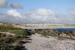 nuvole, mare, cielo, sabbia, scogli, spiaggia, dune, paesaggio, cespugli, acqua, rocce, piante, verde, panorama, natura, macchia, pietre, sassi