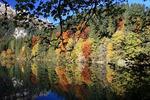 lago, autunno, alberi, riflesso, acqua, montagna, riflessi, panorama, rami, bosco