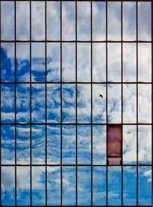 nuvole, cielo, uccello, finestre, riflesso, rettangoli, vetri, azzurro, riflessi