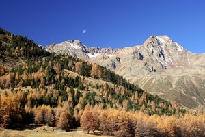 montagne, alberi, luna, cielo, verde, autunno, bosco, azzurro, boschi, neve, abeti, montagna, pini, rocce, panorama