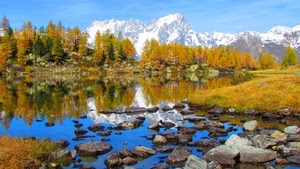 lago, montagne, riflesso, montagna, autunno, sassi, neve, alberi, larici, paesaggio, piante