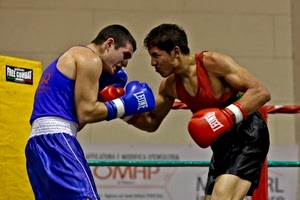 sport, ring, pugilato, guantoni, blu, rosso, pugili, due, uomini, pugni