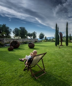 sdraio, prato, lettura, nuvole, giardino, leggere, verde, alberi, relax, libro, cielo