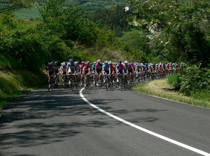 strada, ciclisti, biciclette, alberi, curva, ciclismo, corsa, corridori, gara, verde, gruppo