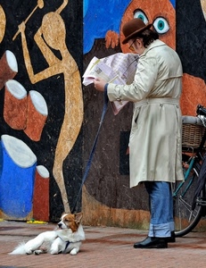 cane, giornale, cappello, guinzaglio, murales, uomo, bicicletta, murale, leggere