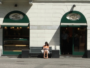 panchina, vetrine, leggere, verde, vetrina, donna, insegna, ragazza, attesa, negozio