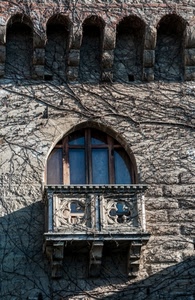 balcone, finestra, rampicante, castello, pietra, arco, edera, muro