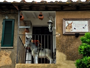 asino, balcone, lampione, ringhiera, finestra, persiana, gabbia, lampada, verde