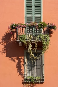 balcone, fiori, finestra, persiane, piante, finestre, ringhiera, vasi