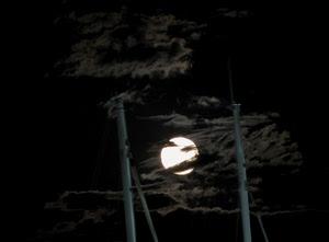 luna, nuvole, notte, nero, cielo, alberi, pali, notturno