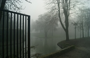 nebbia, alberi, cancello, fiume, acqua, rami, parco, canale