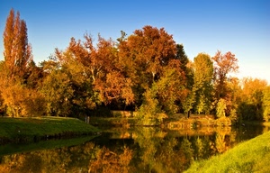 autunno, acqua, alberi, riflessi, bosco, riflesso, fiume, giallo, natura, rosso, piante, tramonto