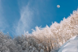 luna, neve, alberi, inverno, bianco, montagna, cielo, bosco