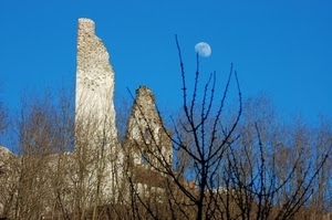 luna, cielo, ruderi, alberi, azzurro, rami, rovine, piante