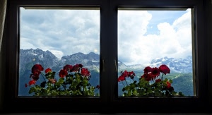 finestra, fiori, montagne, nuvole, rosso, cielo, gerani, panorama, neve, montagna, vetri, verde, vista, bianco