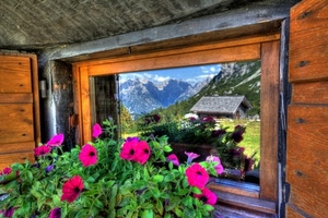 finestra, fiori, riflesso, montagna, baita, montagne, foglie, verde, legno
