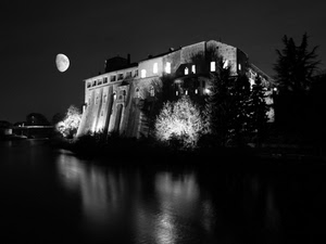 luna, castello, bianconero, acqua, fiume, luci, notturno, alberi, riflesso