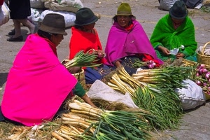 mercato, cappelli, colori, verde, donne, viola, verdura, cipolle, rosso, rosa, sacchi, mantelli, cipollotti, quattro, cibo