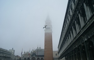 venezia, campanile, nebbia, gabbiano, uccello, piazza, palazzi, volo, basilica, colonne, chiesa