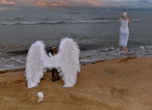 mare, ali, sabbia, donna, spiaggia, bianco, angelo, onde, piume, nuvole, acqua, modella