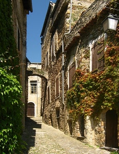 vicolo, arco, finestre, edera, verde, foglie, lampione, rampicanti, case