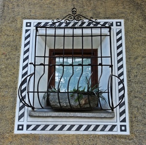 finestra, vaso, grata, vetro, piante, riflesso, inferriata, cornice, pianta