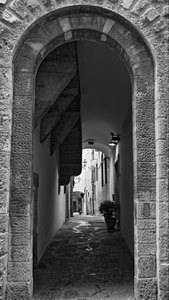 arco, vicolo, bianconero, vasi, archi, strada, finestre, lampioni, portico, pianta