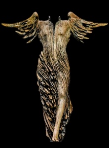 ali, statua, gamba, scultura, angelo, nero, oro, legno