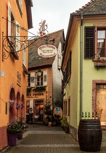 botte, vicolo, finestre, bottiglie, insegna, strada, tetti, scorcio, fiori, insegne, lampione, tegole, tetto, fioriere, piante