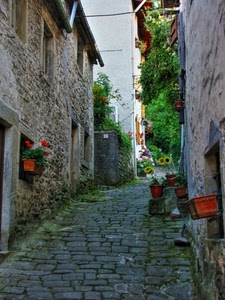 vicolo, vasi, fiori, finestre, case, strada, paese, piante