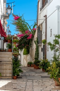 fiori, vicolo, vasi, lampione, verde, piante, scale, scala