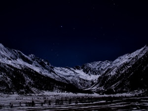 neve, stelle, montagne, notte, cielo, notturno, montagna, panorama, inverno, alberi, bianconero