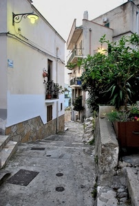 vicolo, piante, lampione, balconi, verde, strada, scorcio, gradini, finestre, scalini, foglie, balcone, case