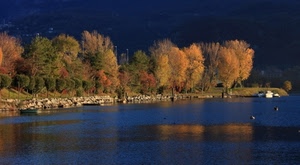 alberi, acqua, lago, autunno, fiume, barche, riva, sassi, riflessi