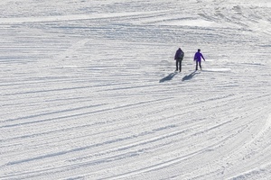 neve, ombre, persone, bianco, inverno, due, pista