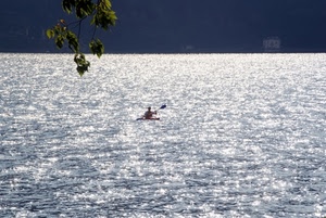 canoa, mare, acqua, sport, foglie, lago, pagaia, ramo, cielo, controluce