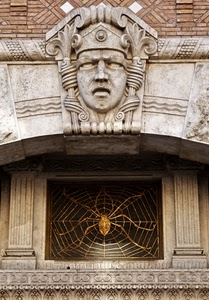 ragno, finestra, ragnatela, liberty, palazzo, mascherone, decorazioni, faccia, mattoni, scultura, maschera