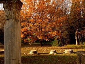 colonna, foglie, alberi, autunno, ruderi, prato