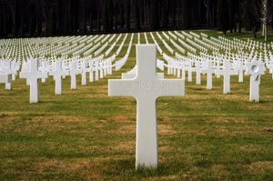 croci, cimitero, prato, erba, bianco, croce, verde, guerra, prospettiva, militari