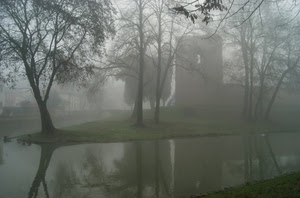 nebbia, alberi, acqua, torre, fiume, riflesso, riflessi