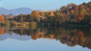 alberi, lago, autunno, acqua, riflesso, montagne, riflessi, azzurro, cielo, bosco, scia