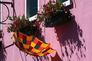 rosa, fiori, ombrello, finestre, vasi, ombra, colori, finestra, piante, muro, ombre, rosso, appeso