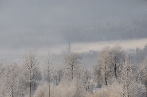 alberi, nebbia, inverno, neve, rami, bianco, campanile, brina, cielo, bosco