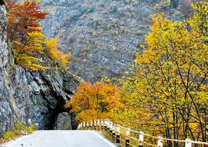 strada, galleria, autunno, alberi, montagna, giallo, roccia, rocce, piante, tunnel